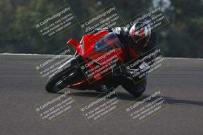 media/Nov-02-2025-Lets Ride (Sun) [[f7a3caa734]]/A Group/11am (Turn 2 Inside)/